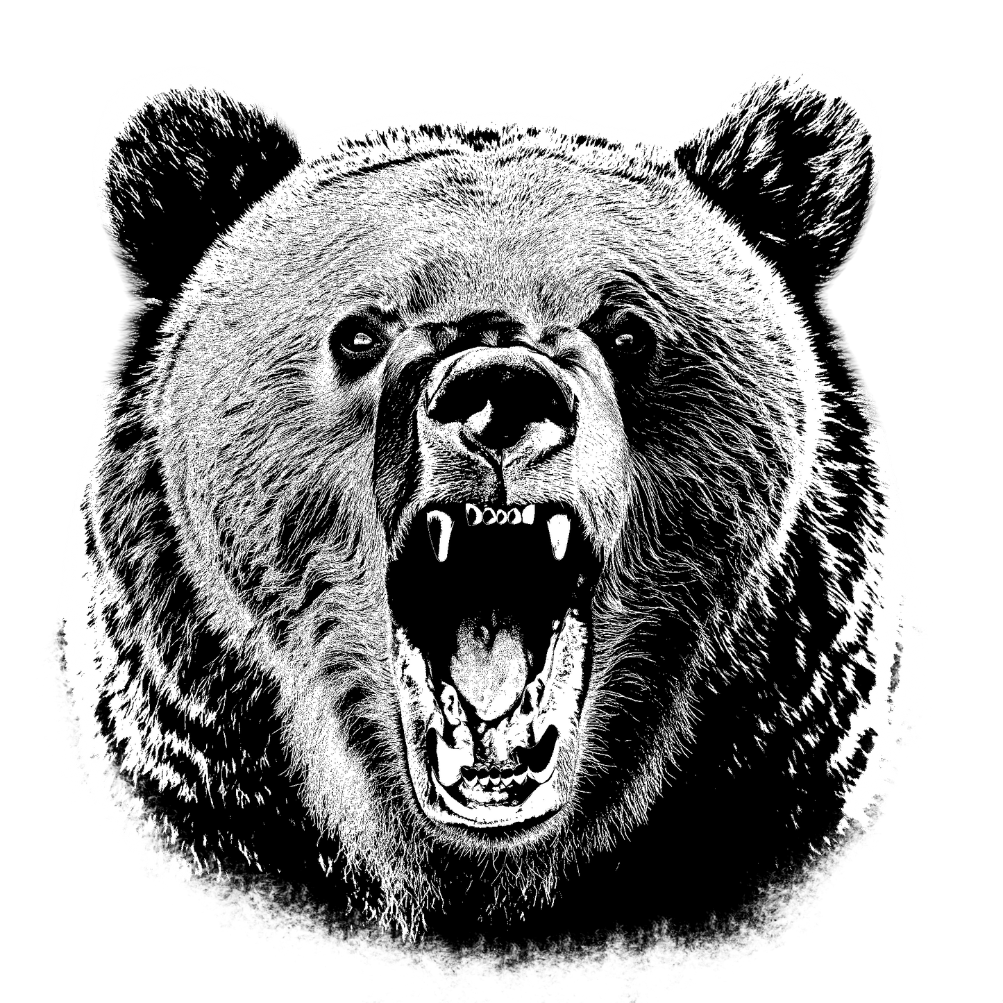 The Bear Hoodie