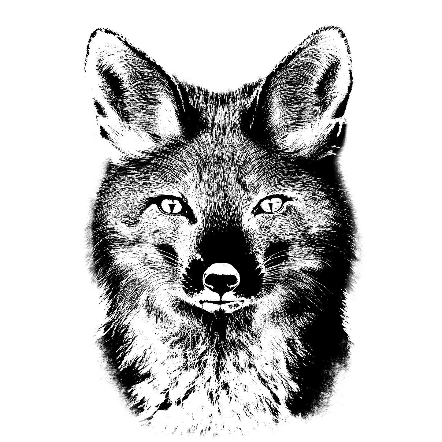 The Fox Hoodie