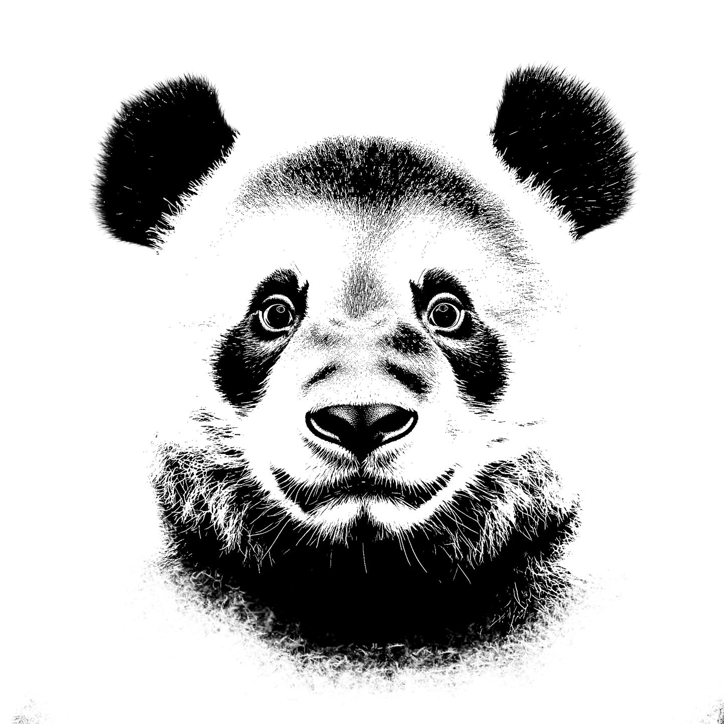 The Panda Hoodie