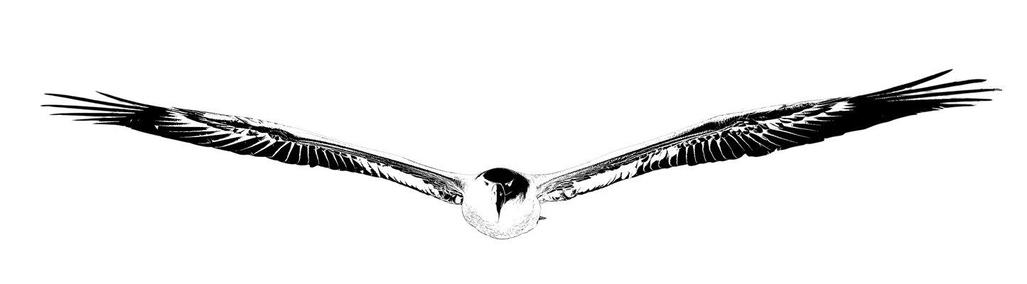 The Albatross Hoodie