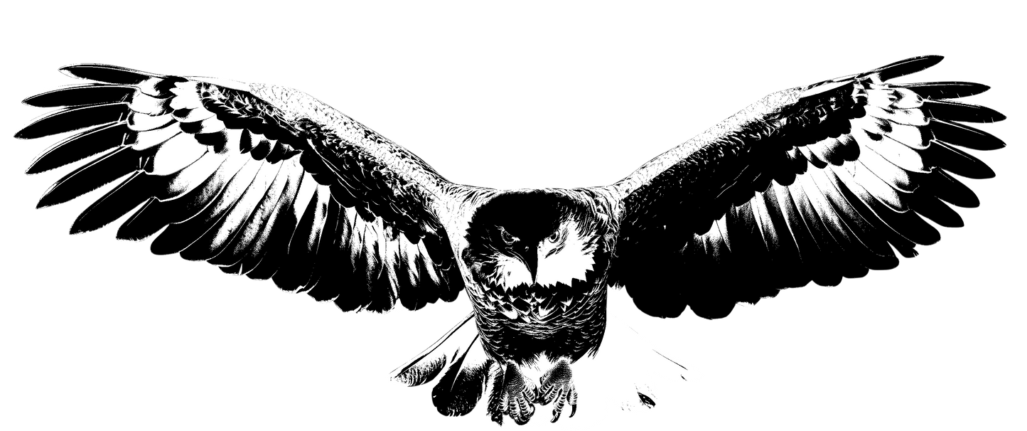 The Eagle Hoodie