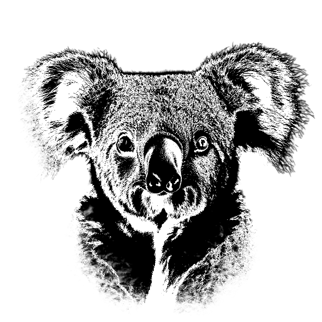 The Koala Hoodie