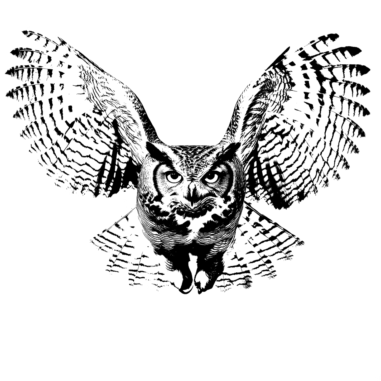 The Owl Hoodie