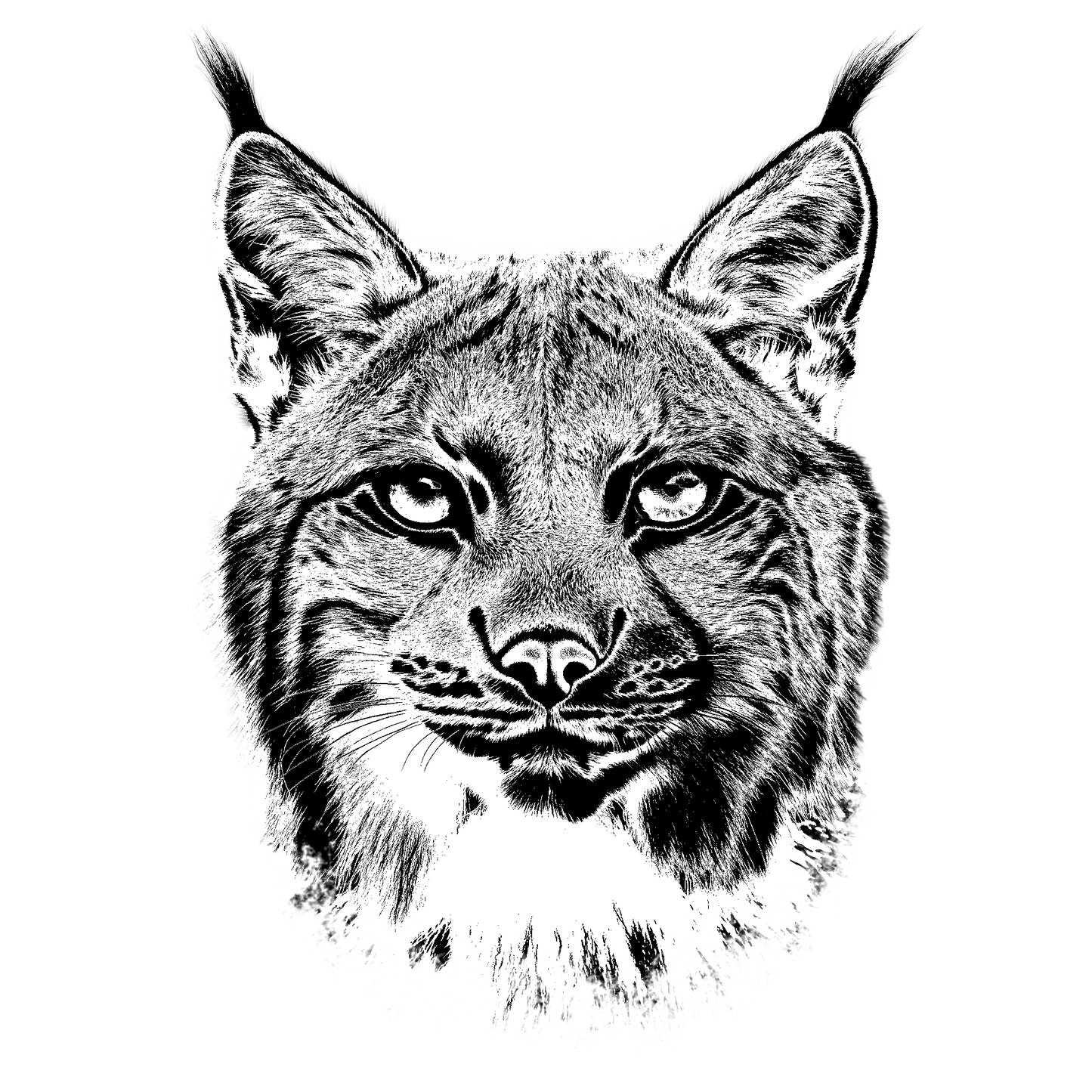 The Lynx Hoodie