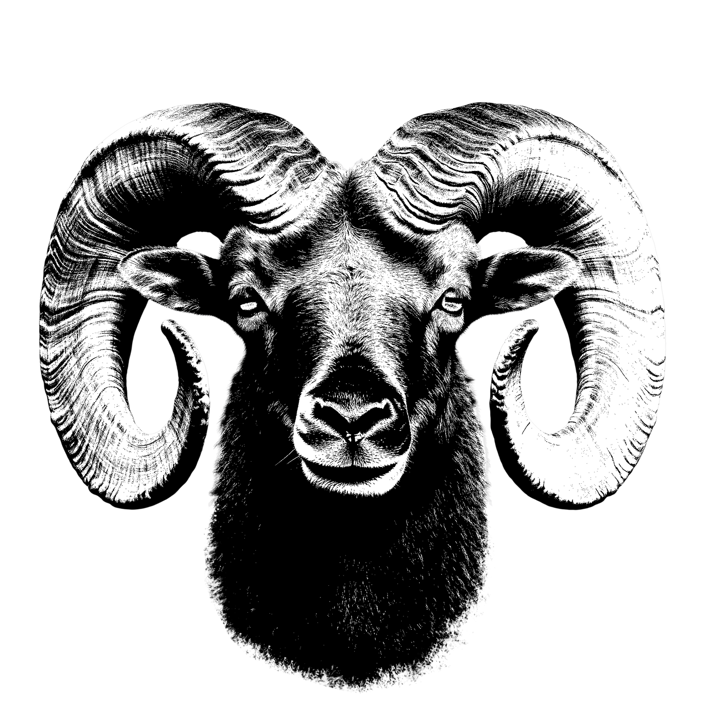 The Ram Hoodie
